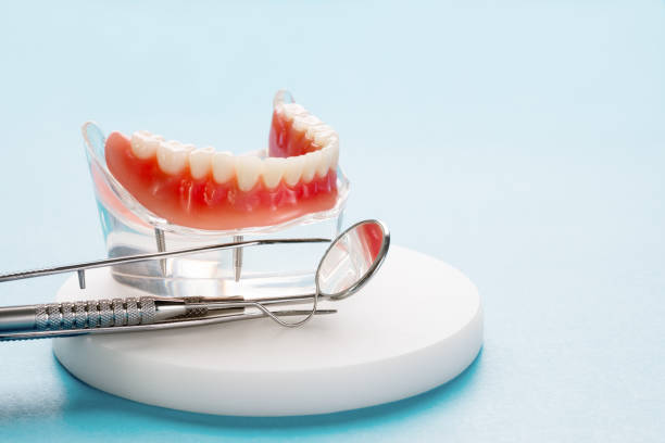 Best Laser Dentistry  in Black Hammock, FL